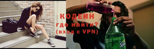 индика Каменка