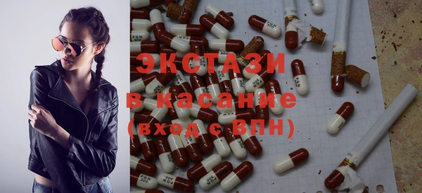шишки Новодвинск